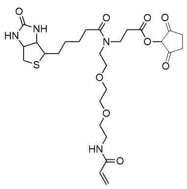 Acrylink Biotin